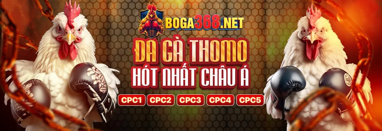 Hình ảnh chính ok99 login: Hướng dẫn đăng nhập an toàn và hiệu quả